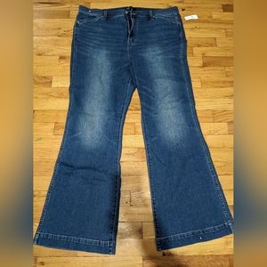 Gap High Rise Flare Jeans